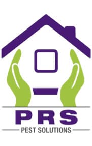 Pesto logo